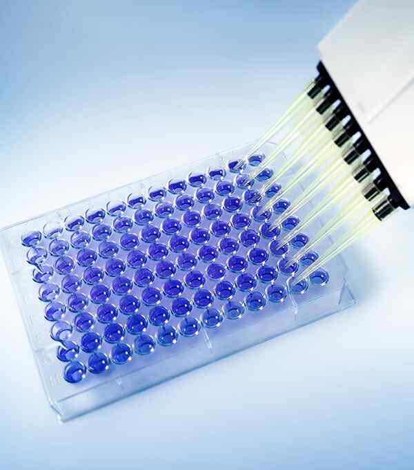 https://dic-static.sgp1.digitaloceanspaces.com/wp-content/uploads/2020/04/12135432/service_7.jpg